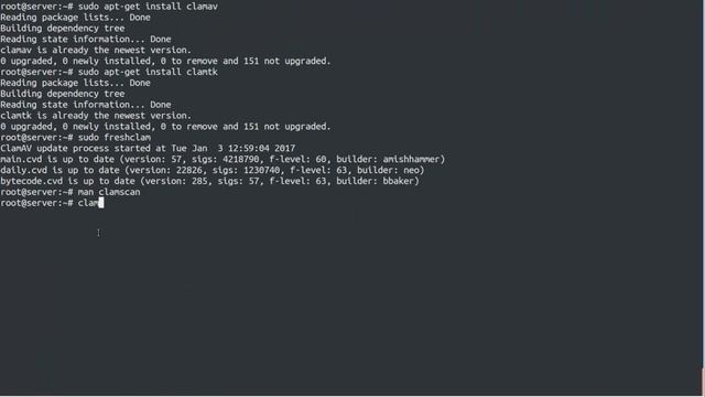 install Clam AntiVirus ClamAV CLAMTK on linux смотреть онлайн