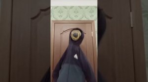 алик и его странная семейка сборник.mp4