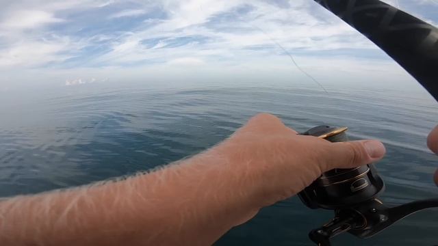 BERKLEY GULP CATCHES EVERYTHING - Multi Species Ocean Fishing for Whatever Bites смотреть онлайн