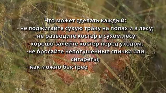 Обращение к жителям города о соблюдении правил пожарной безопасности смотреть онлайн