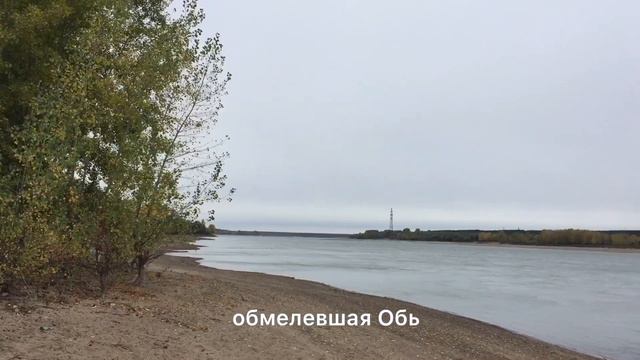 Обмеление Оби в Новосибирске. 14.09.2021 смотреть онлайн