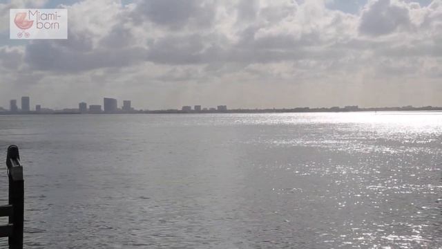 Роды в Майами. Екатерина и Евгений. Отзыв о родах в США с компанией Miami-Born смотреть онлайн