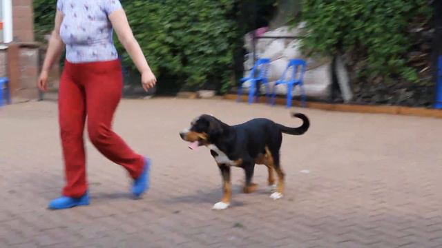 MVI 0984 смотреть онлайн