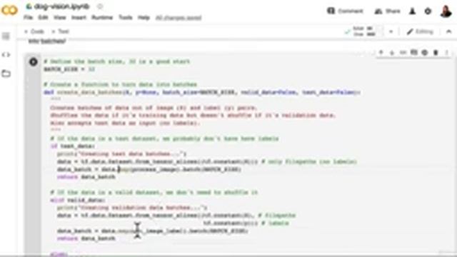 14.39 Making Predictions On Test Images смотреть онлайн