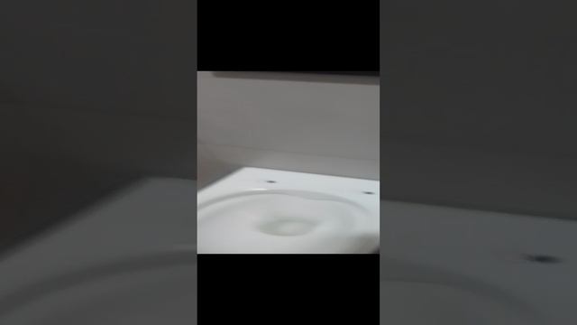 VID_20240827_162218.mp4