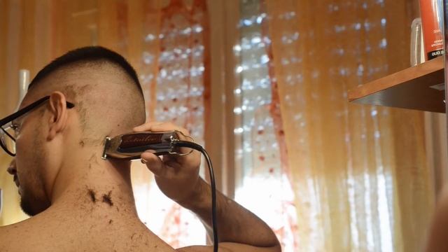 Testing Wahl Detailer