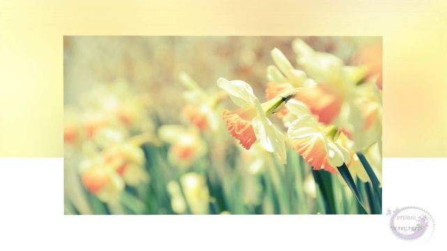 Пусть радостным будет всегда настроение смотреть онлайн