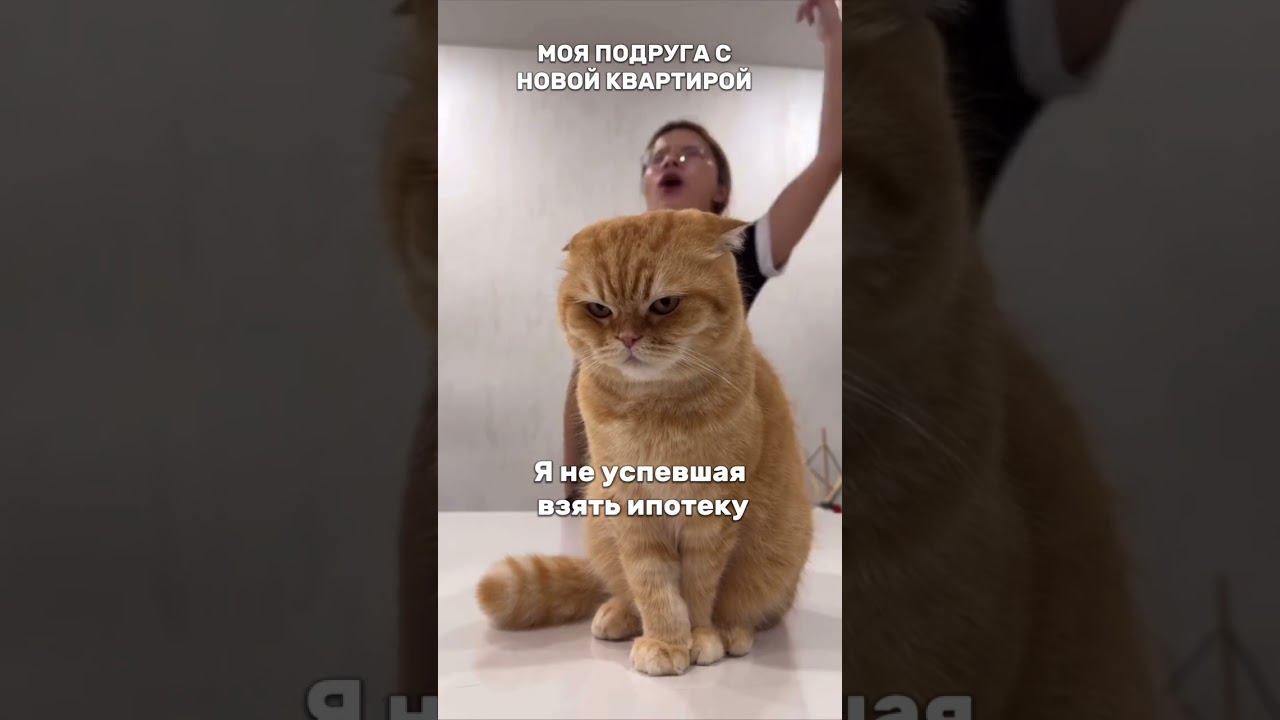 Ипотека 2024 смотреть онлайн