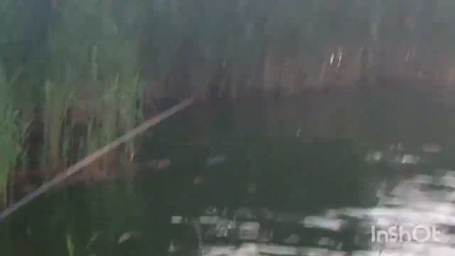 Кто куда, а мы отдыхать. Поехали с нами? смотреть онлайн