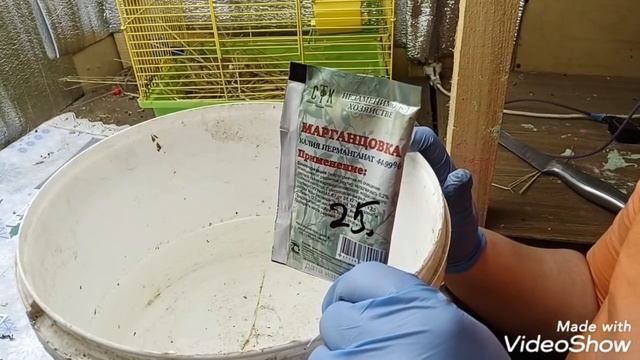 Георгины в Январе. Разбор после зимовки. Посадка на проращивание. смотреть онлайн