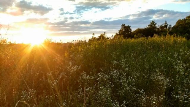 Как стать счастливым? смотреть онлайн