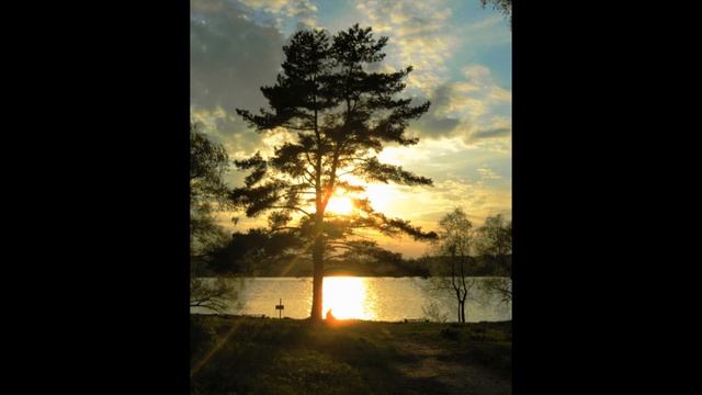 Янтарь. автор исполнитель Эдуард Данилов стихи Нина Шендрик смотреть онлайн