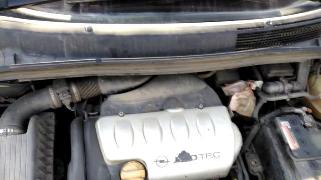 ПОДЛЕЧИЛИ ЗАФИРУ смотреть онлайн