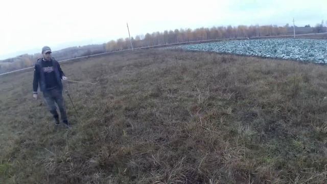 КУПИЛИ ДОМ В ДЕРЕВНЕ. КАК ПРОХОДИТ ТЕПЕРЬ НАШЕ УТРО смотреть онлайн