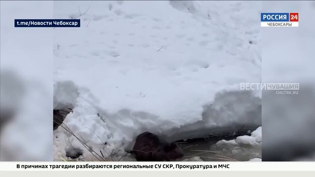 В Чебоксарах бобры начали выходить к людям смотреть онлайн