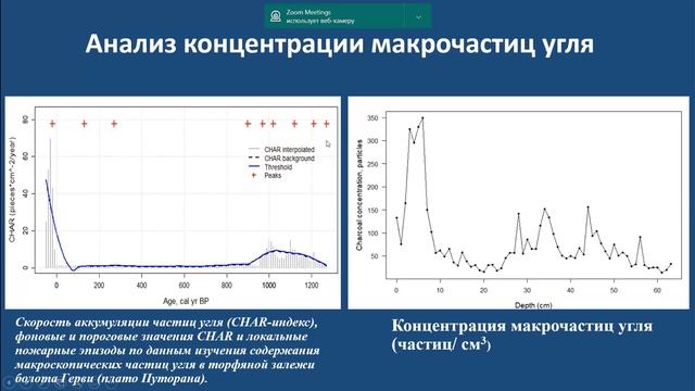 Новенко Е.Ю. ЛАНДШАФТНО-КЛИМАТИЧЕСКИЕ ИЗМЕНЕНИЯ И ИСТОРИЯ ЛЕСНЫХ ПОЖАРОВ смотреть онлайн