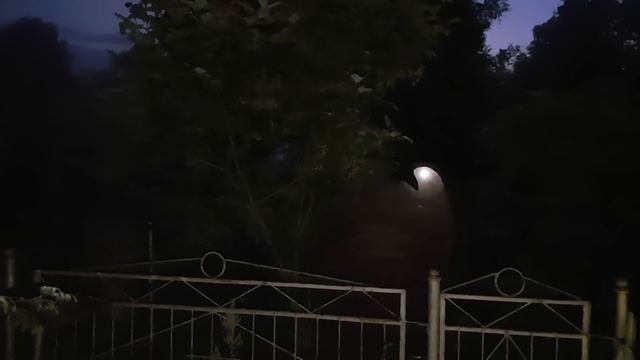 ДУШИ УМЕРШИХ НА ПОГОСТЕ... смотреть онлайн
