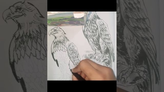 eagle sketch with pen смотреть онлайн