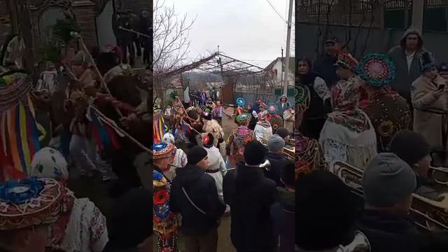 Caii din Godinești 2021 смотреть онлайн