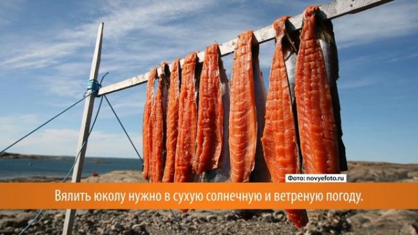 Какой деликатес нужно попробовать на Камчатке?