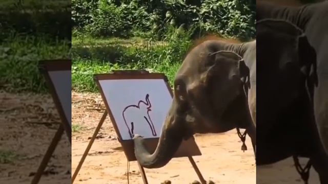 Невероятно! Слон рисует слона! смотреть онлайн