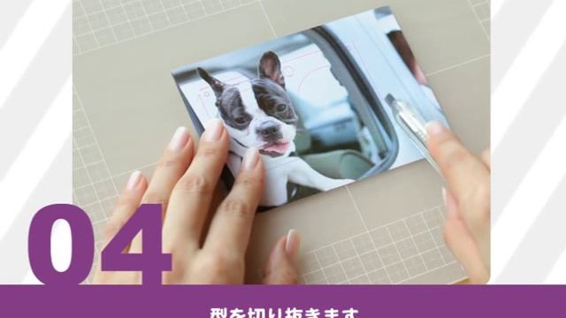 PENTAX Optio RS1000 着せ替え用シートの作り方 смотреть онлайн