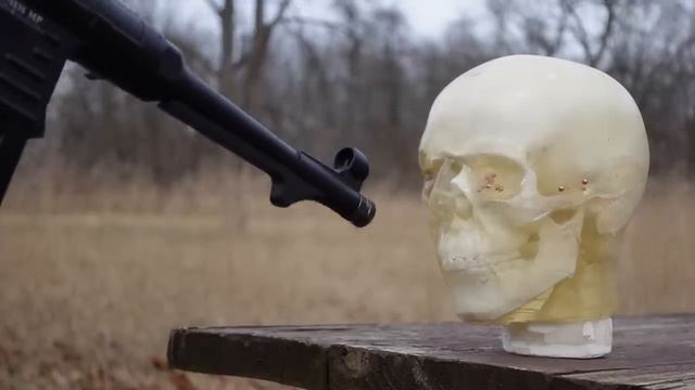 Could a BB Gun Save Your Life??? (vs Human Head) смотреть онлайн