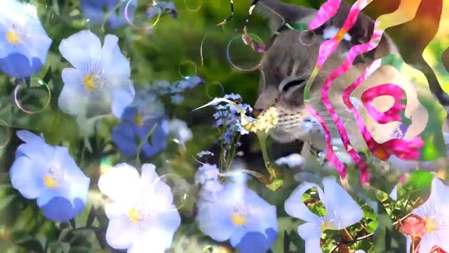 Все будет хорошо! ? Ты только верь! ? смотреть онлайн