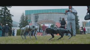 Русские чипы