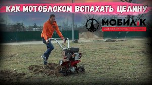 Что такое МОТОБЛОК МКМ МОБИЛ-К Детальный разбор от Gardenstock, комплектация, работа по целине!