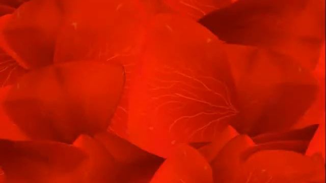 "Овация" театр танца и песни фотоколлаж со спектакля 12 12 16 смотреть онлайн