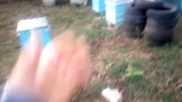 145-й корпус из osb-3, что стало за три года. смотреть онлайн