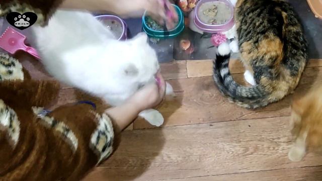 Девяносто вторая серия смотреть онлайн