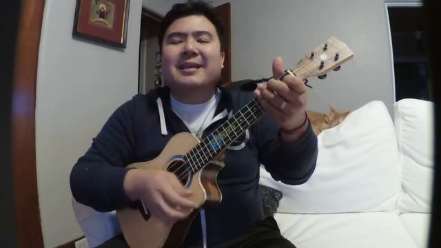 Hotel California - Eagles (Ukulele Cover + Chords in Description) смотреть онлайн