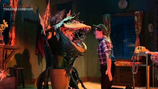 LITTLE SHOP OF HORRORS at Constellation Theatre Company [Now Extended!] смотреть онлайн