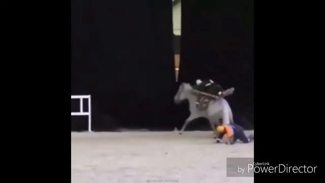 Транспортировка тела в лесу РФ смотреть онлайн