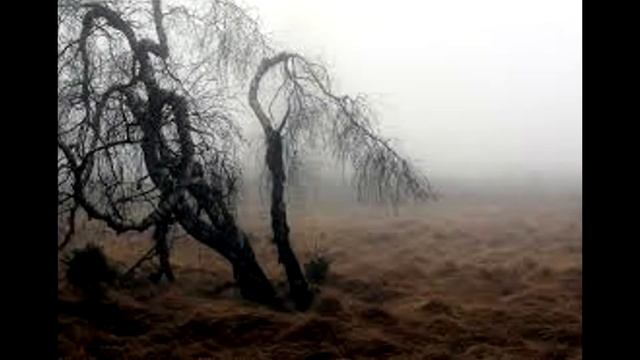 Тайна урочища Шушмор - Тайны и Легенды РОССИИ