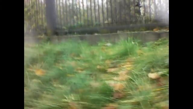 Прогулка по Лопатинскому Саду в Смоленске смотреть онлайн