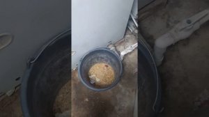 чистка котла китурами 13