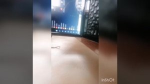 приложение Mozilla Firefox не запускается