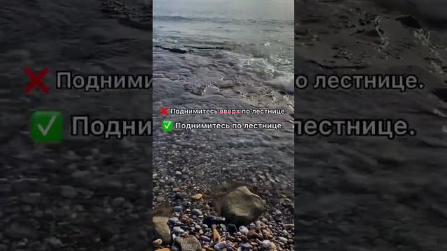 Задание 6. ЕГЭ #русский #егэ #огэ #правила #русскийязык #наука #образование #технологии #мода смотреть онлайн