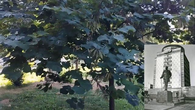 ТАШКЕНТ МЕТРО МАКСИМА ГОРЬКОГО / БУЮК ИПАК ЙУЛИ / ДЯДЬКА С ПАЛКОЙ / УЗБЕКИСТАН СЕГОДНЯ 2023 смотреть онлайн