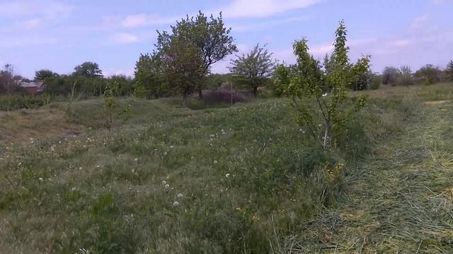 скосили пшеницу на солому борьба с сорняками смотреть онлайн