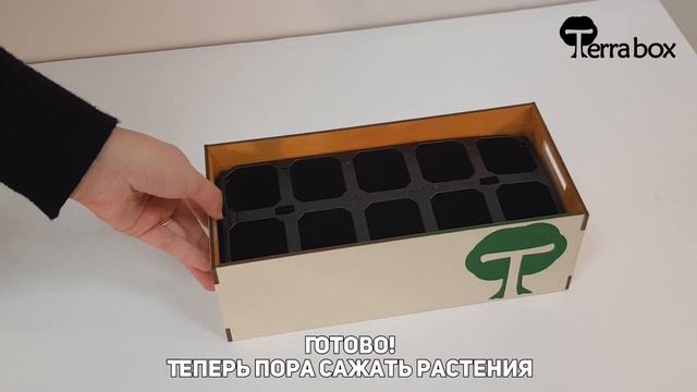 Интерьерные кашпо Flatbed смотреть онлайн