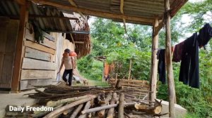 Full Video 30 Days: Harvesting fruits garden goes to the market sell, Daily farm life With young so