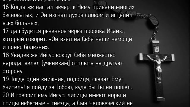 Евангелие от Матфея Глава 8 смотреть онлайн