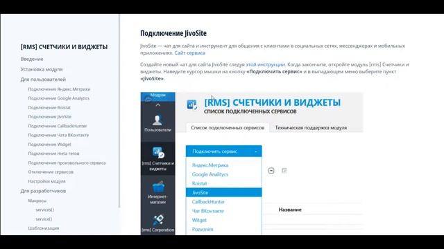Обзор модуля [rms] Счетчики и виджеты смотреть онлайн