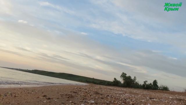 Морские блохи за закате смотреть онлайн