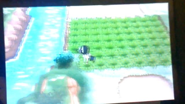 Pokemon Y PokeRadar Chain: Shiny Fletchling смотреть онлайн