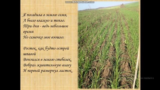 Интегрированное занятие. Озн. с окр. миром и развитие речи. Предшкольная группа. Хлеб всему голова. смотреть онлайн